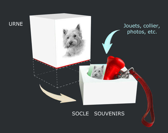 Urne pour animaux